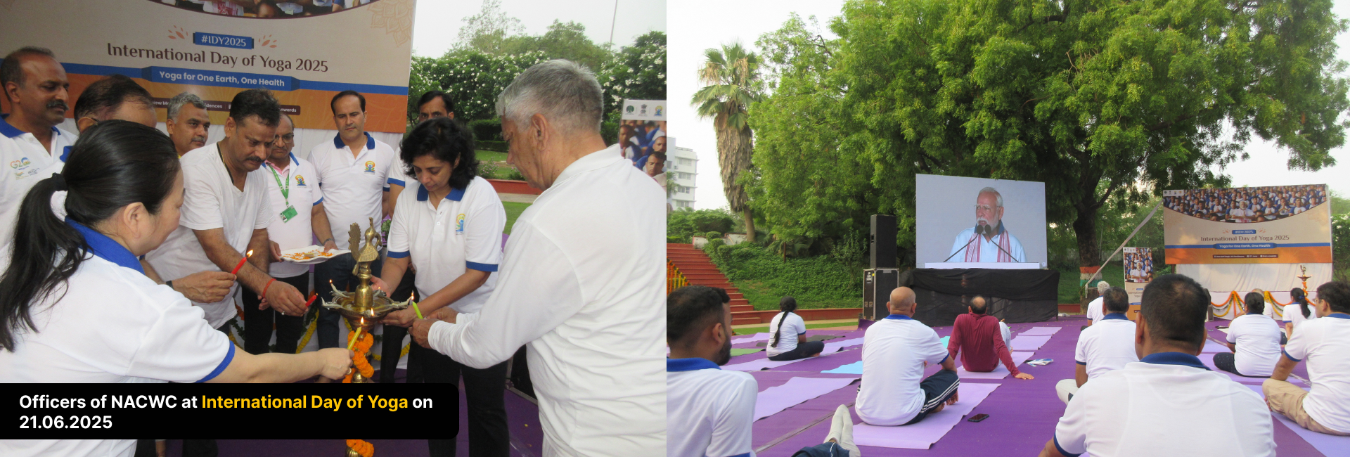 Nacwc Officers at international Yoga Day
