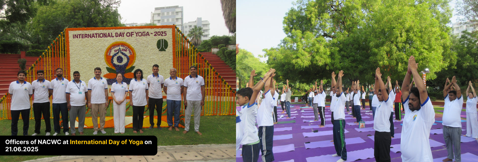 Nacwc Officers at international Yoga Day